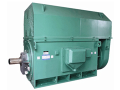 阿坝Y系列6KV高压电机